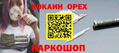 гашиш Кингисепп