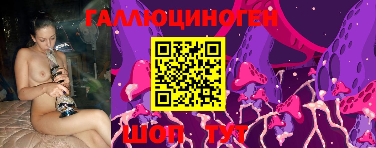 Псилоцибиновые грибы Psilocybe Еманжелинск