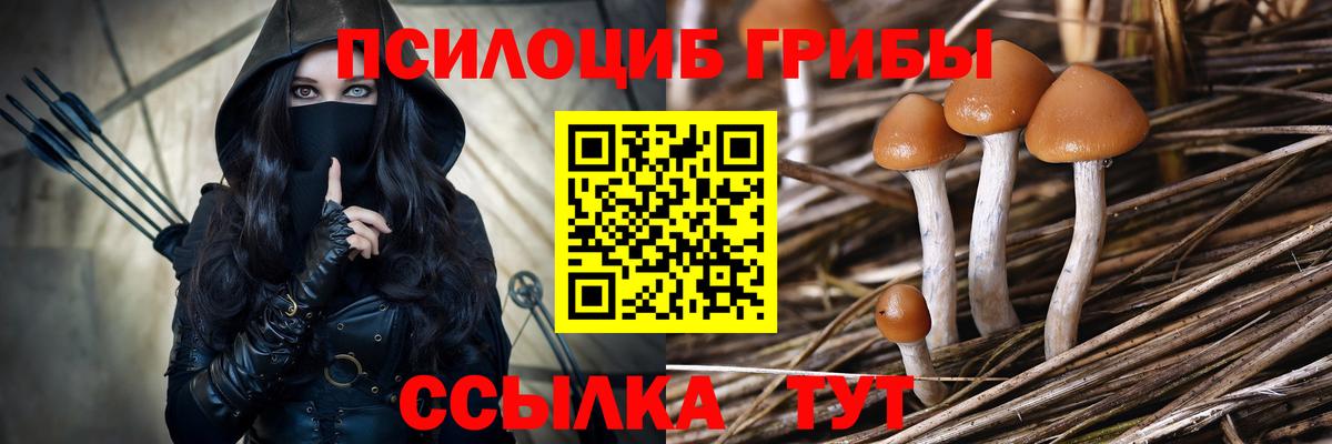 Еманжелинск  Галлюциногенные грибы Magic Shrooms  купить наркотик  Вход с VPN 